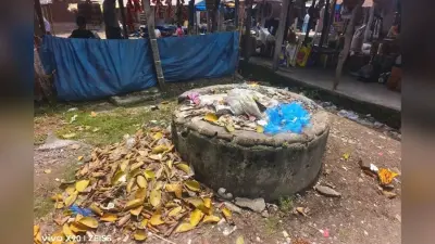किशनगंज में बारिश ने खोली पौआखाली नगर पंचायत की पोल, जलजमाव और मच्छरों से लोग परेशान